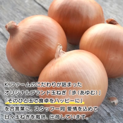 【定期便12ヶ月】淡路島たまねぎ 歩-AYUMU- 5kg　ak04025