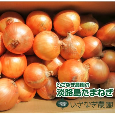 いざなぎ農園の淡路島たまねぎ　ai02801