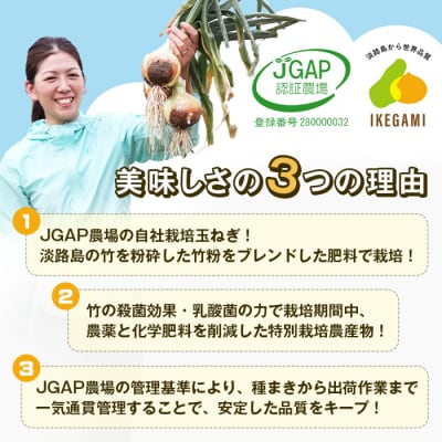淡路島　池上農場の完熟たまねぎ「あやたけ」5kg　ai03708