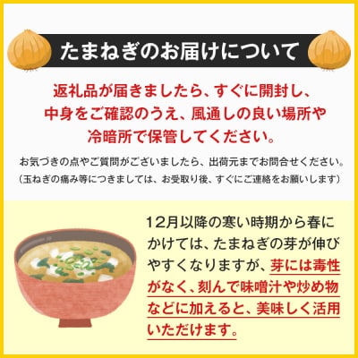 淡路島　池上農場の完熟たまねぎ「あやたけ」5kg　ai03708