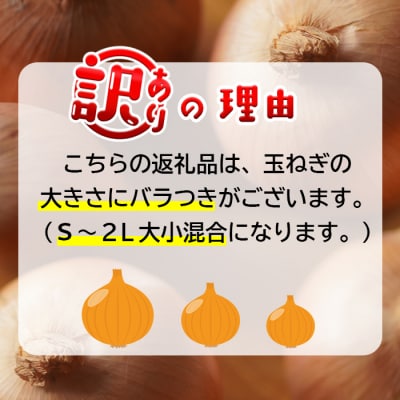 【訳アリ品】今井ファームの淡路島たまねぎ 5kg【サイズ混合S～2L】　ai01873