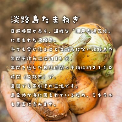 【訳アリ品】今井ファームの淡路島たまねぎ 5kg【サイズ混合S～2L】　ai01873