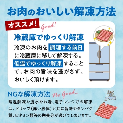 【3ヶ月定期便】 宮崎牛霜降り焼肉・赤身スライス焼きしゃぶ3ヶ月定期便