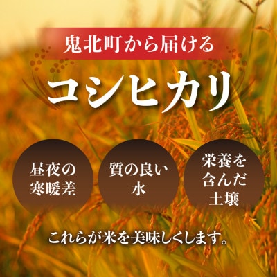 令和8年産 愛媛県産 コシヒカリ 5kg(精米)