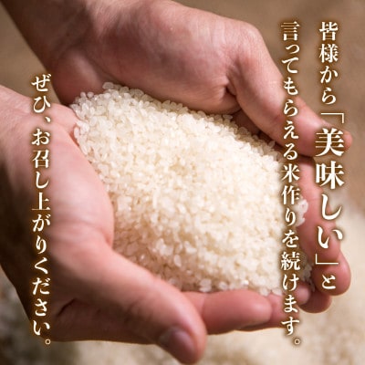 令和8年産 愛媛県産 コシヒカリ 5kg(精米)