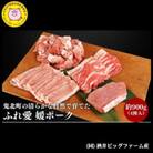 鬼北町の清らかな自然で育てた ふれ愛・媛ポーク 約900g (4種類入り)