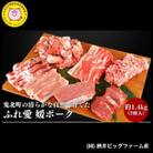 鬼北町の清らかな自然で育てた ふれ愛・媛ポーク 約1.4kg (7種入り)