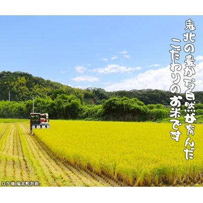 鬼北のお米「鬼米 (おにまい)」コシヒカリ 5kg×1袋