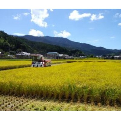 【自然環境米】鬼北のせせらぎ5kg(鬼北町産コシヒカリ)