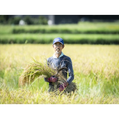 【愛媛県ブランド米】ひめの凜(プレミアムクオリティ)5kg×2(計10kg)