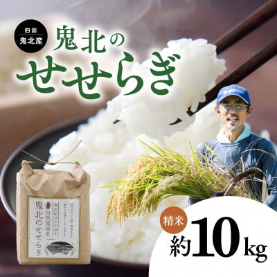 【自然環境米】鬼北のせせらぎ　5kg×2(計10kg)