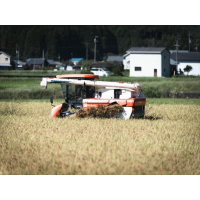 にこまる×ひめの凜(プレミアムクオリティ)各5kg(計10kg)