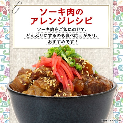 沖縄そば食べ比べ10食セット(沖縄そば5食・八重山そば5食)