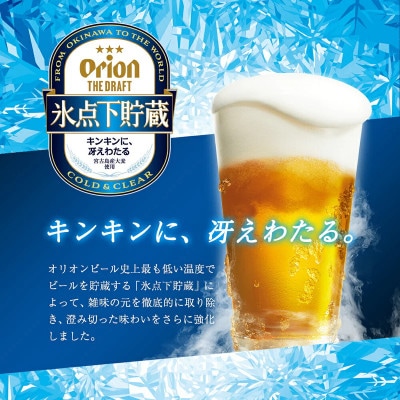 【夏限定】ザ・ドラフト 氷点下貯蔵(350ml×24本)