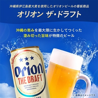 【毎月定期便】12ヵ月定期便!オリオンビール ザ・ドラフト(350ml×24缶)全12回