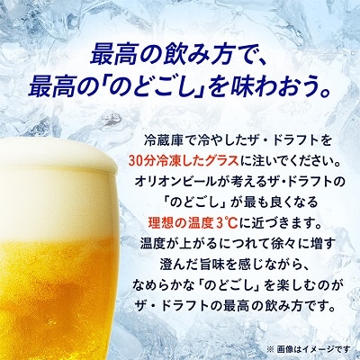 【毎月定期便】12ヵ月定期便!オリオンビール ザ・ドラフト(350ml×24缶)全12回