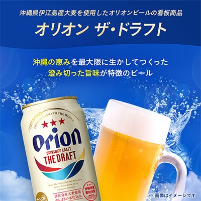 【毎月定期便】オリオンビール 人気の5種類をお届け全5回