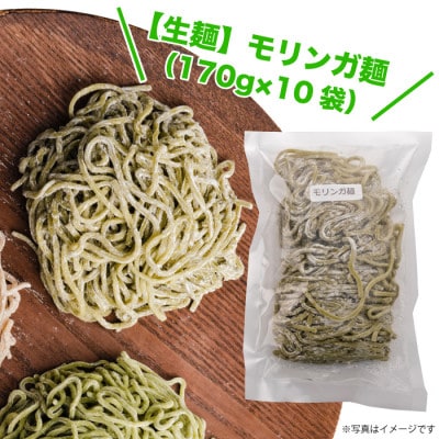 【生麺】もちもち触感のモリンガ麺10食セット
