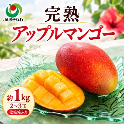 【2027年6月下旬から順次発送・贈答用】JAおきなわ厳選 完熟アップルマンゴー約1kg(2～3玉)