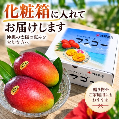 【2027年6月下旬から順次発送・贈答用】JAおきなわ厳選 完熟アップルマンゴー約1kg(2～3玉)