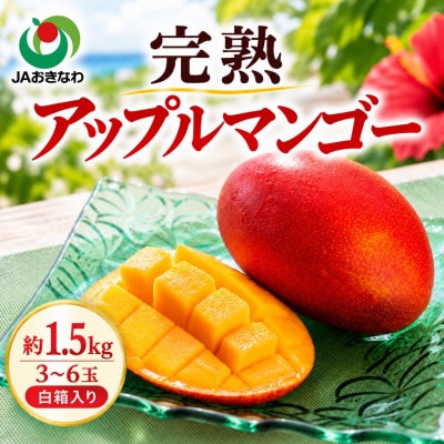 【2027年6月下旬から順次発送・家庭用】JAおきなわ厳選 完熟アップルマンゴー1.5kg