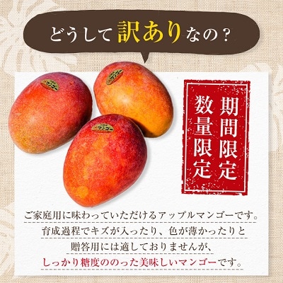 【2025年発送】<ご家庭用・訳あり>完熟アップルマンゴー約1.5kg(白箱)3玉～6玉