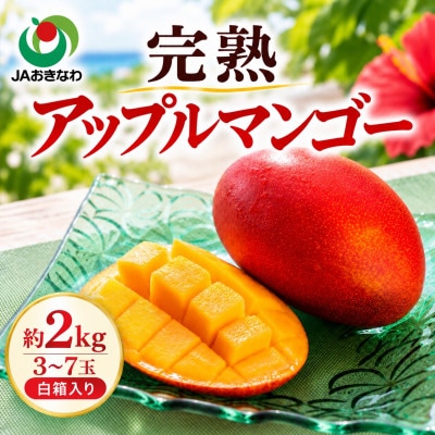 【2027年6月下旬から順次発送・家庭用】JAおきなわ厳選 完熟アップルマンゴー2kg(3～7玉)