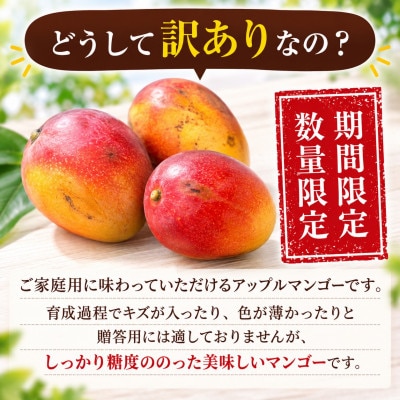 【2027年6月下旬から順次発送・家庭用】JAおきなわ厳選 完熟アップルマンゴー2kg(3～7玉)