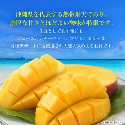 2024年発送】<ご家庭用・訳あり>完熟アップルマンゴー約2kg(白箱)3玉 ... 数量限定\u003cご家庭用/訳あり\u003e完熟キーツマンゴー1.5kg ★沖縄県産★4
