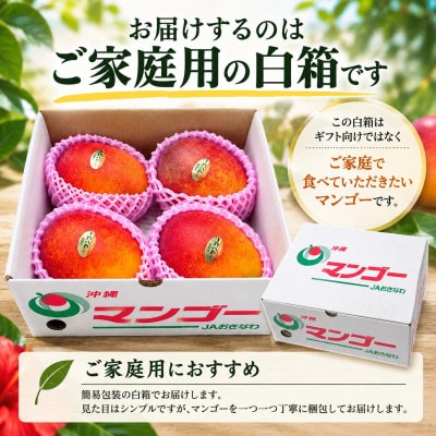 【2027年6月下旬から順次発送・家庭用】JAおきなわ厳選 完熟アップルマンゴー2kg(3～7玉)