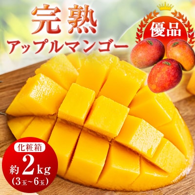 【2025年発送】〈優品〉完熟アップルマンゴー約2kg(化粧箱)3玉～6玉