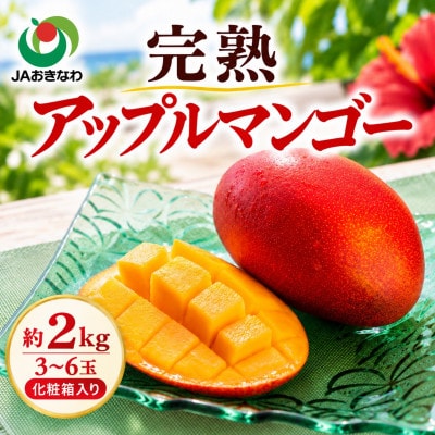【2027年6月下旬から順次発送・贈答用】JAおきなわ厳選 完熟アップルマンゴー2kg(3～6玉)