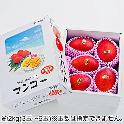 【2025年発送】〈優品〉完熟アップルマンゴー約2kg(化粧箱)3玉～6玉