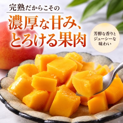 【2027年6月下旬から順次発送・贈答用】JAおきなわ厳選 完熟アップルマンゴー2kg(3～6玉)