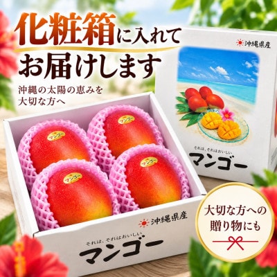 【2027年6月下旬から順次発送・贈答用】JAおきなわ厳選 完熟アップルマンゴー2kg(3～6玉)