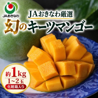 【2027年8月上旬から順次発送・贈答用】JAおきなわ厳選 幻のキーツマンゴー約1kg(1～2玉)