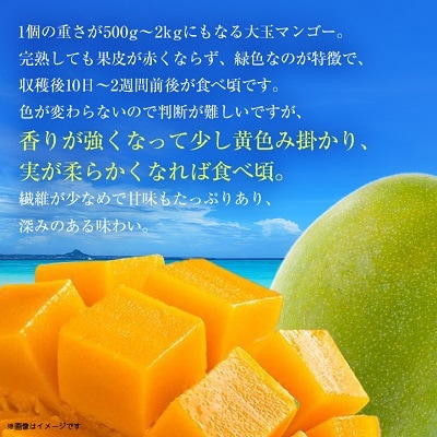 【2025年発送】<優品>幻のキーツマンゴー約1kg(化粧箱)1玉～2玉