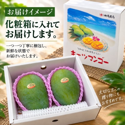 【2027年8月上旬から順次発送・贈答用】JAおきなわ厳選 幻のキーツマンゴー約1kg(1～2玉)