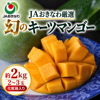 【2027年8月上旬から順次発送・贈答用】JAおきなわ厳選 幻のキーツマンゴー約2kg(2～3玉)