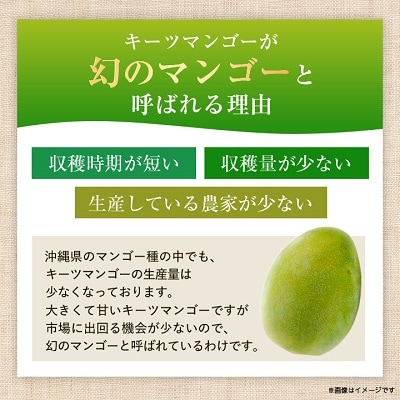 【2025年発送】<優品>幻のキーツマンゴー約2kg(化粧箱)2玉～3玉