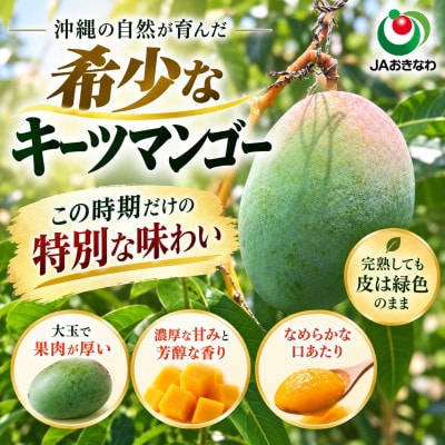 【2027年8月上旬から順次発送・贈答用】JAおきなわ厳選 幻のキーツマンゴー約2kg(2～3玉)