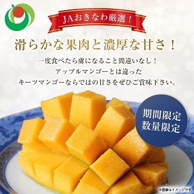 【2025年発送】<優品>幻のキーツマンゴー約2kg(化粧箱)2玉～3玉