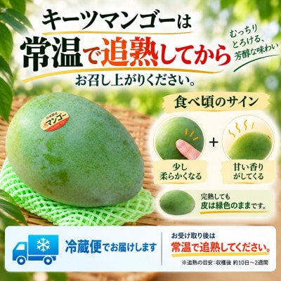 【2027年8月上旬から順次発送・贈答用】JAおきなわ厳選 幻のキーツマンゴー約2kg(2～3玉)
