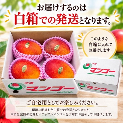 【2027年6月下旬から順次発送・家庭用】JAおきなわ厳選 完熟アップルマンゴー約1kg(2～4玉)