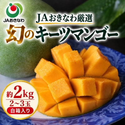 【2027年8月上旬から順次発送・訳あり】JAおきなわ厳選 幻のキーツマンゴー約2kg(2～3玉)