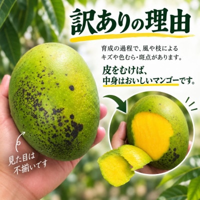 【2027年8月上旬から順次発送・訳あり】JAおきなわ厳選 幻のキーツマンゴー約2kg(2～3玉)