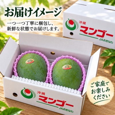【2027年8月上旬から順次発送・訳あり】JAおきなわ厳選 幻のキーツマンゴー約2kg(2～3玉)