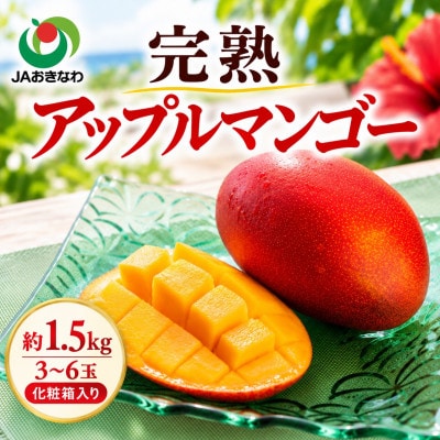 【2027年6月下旬から順次発送・贈答用】JAおきなわ厳選 完熟アップルマンゴー1.5kg