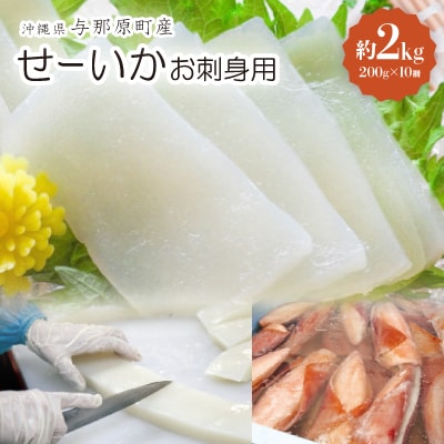 せーいか お刺身用 約2kg(200g×10柵)