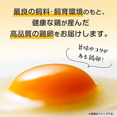 与那原町産の新鮮な卵160個(赤卵)